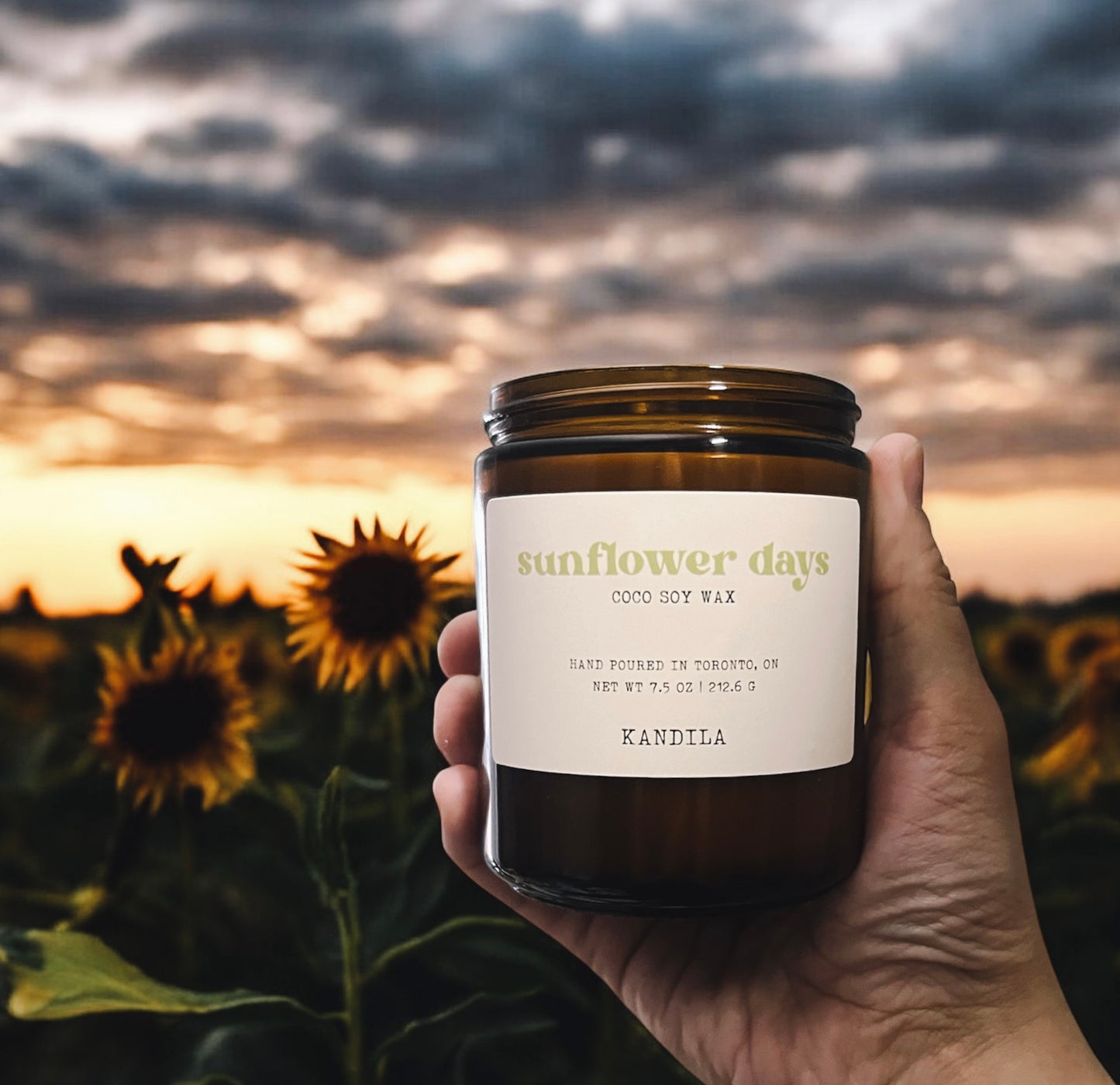 Sunflower Days